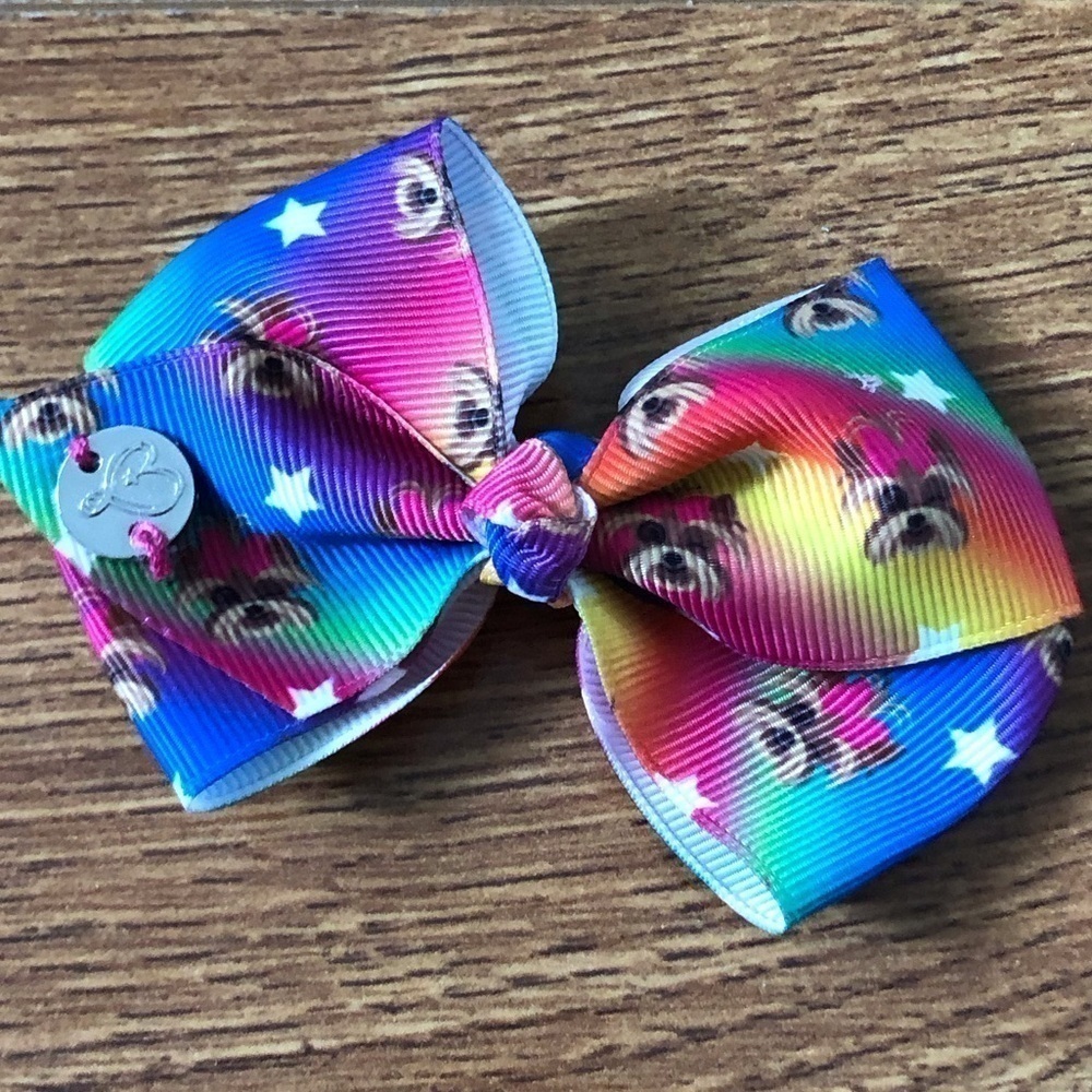 Rainbow dog hair bow clip